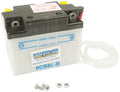 Yuasa 12N5-3B Conventional 12-Volt Battery