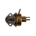 CARTER fuel pump