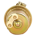 DELPHI fuel pump detail