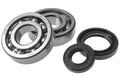 Athena 99-00 Yamaha YZ 250 2T Main Bearing & Seal Kit