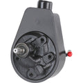 POWER STEERING PUMP DOM