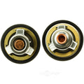 THERMOSTAT KIT