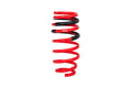 Eibach 2015+ Dodge Challenger SRT-8 Hellcat Rear ProLine Spring