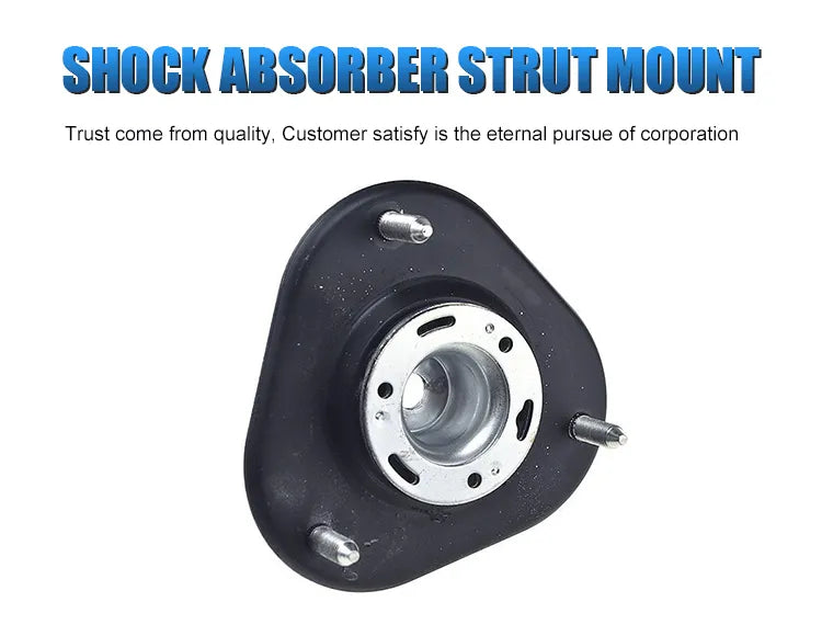 TIE DOWN strut brace