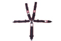 SFI 16.1 ELITE CAM-LOCK HARNESS 3'