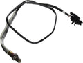 O2 OXYGEN SENSOR