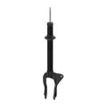 OESPECTRUM PREMIUM STRUT