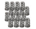 Supertech Mini Cooper N14B16 / N18B16 Beehive Valve Spring (Fits OEM Retainer) - Set of 16