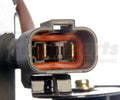 RADIATOR FAN ASSEMBLY