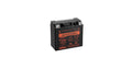 Yuasa GYZ20H High Performance Maintenance Free AGM 12-Volt Battery