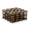 STRAUB TECHNOLOGIES INC. springs