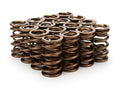 STRAUB TECHNOLOGIES INC. springs detail