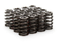 STRAUB TECHNOLOGIES INC. springs detail
