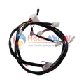 C-PLUG HARNESS, DBW-2010