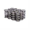 Race St 1.320" Dual Springs 1.81 Inst Ht