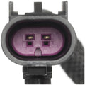 STANDARD IGN exhaust detail