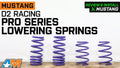 Lowering Springs Mustang