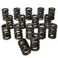 Howards Cams springs