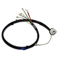 STANDARD IGN auto part detail