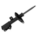 OESPECTRUM PREMIUM STRUT