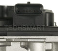 STANDARD IGN throttle body