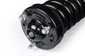 0913 F150 2IN LOADED STRUT SINGLE STRUT(7228261J)