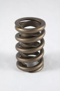 Valve Springs - HR Series (16)