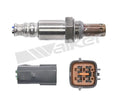 Walker Products Inc. - auto part