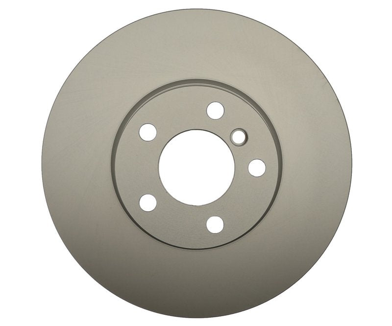 Raybestos Brakes auto part