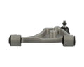 DELPHI control arms