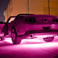 Oracle Exterior Black Flex LED Spool - Pink