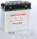 Yuasa YB16CL-B Yumicron 12-Volt Battery