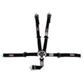 SFI 16.1 CAM-LOCK HARNESS 3' PULL D