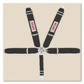 5-PT Harness System LL P/D B/I Ind 55in