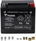 Yuasa YTX20L Maintenance Free AGM 12-Volt Battery