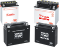 Yuasa YTX20L Maintenance Free AGM 12-Volt Battery