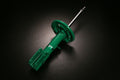 Tein shock absorber