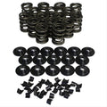 Dual Valve Springs - 1.470