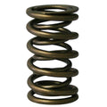 Howards Cams springs detail