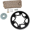 Vortex Racing V3 2.0 Chain and Sprocket Kit 3516-17,438S-47,G530SX3-120- Gold