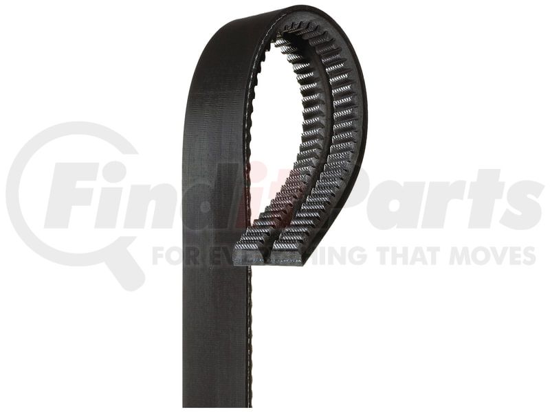 Gates HC50 1 1/8in x 71 7/8in (2 Strands)