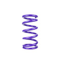 DRACO RACING springs