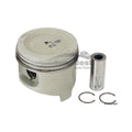 PISTON WITH RINGS