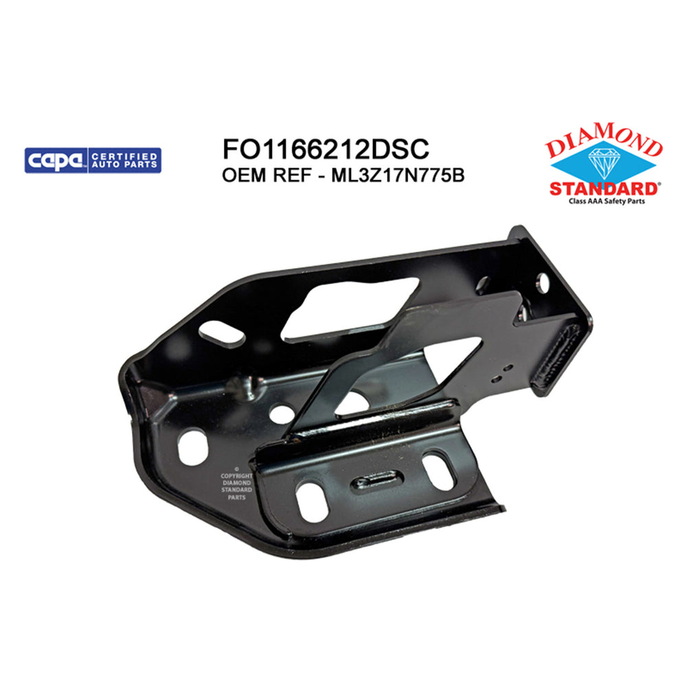 Reflexxion/Diamond Standard - FO1166212DSC