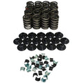 Single Valve Springs - 1.510