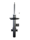 EXCEL-G STRUT