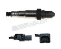 Walker Products Inc. - auto part
