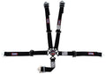 SFI 16.1 CAM-LOCK HARNESS 2' PULL D