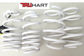 TH SPRINGS 2012-2013 CIVIC (FR 2.0 RE 2.0)