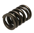 PAC RACING SPRINGS springs